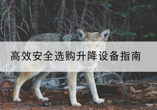朗县升降货梯厂家推荐-*安全选购升降设备指南