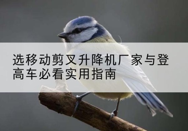 朗县电动升降机厂家-选移动剪叉升降机厂家与登高车必看实用指南