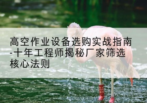 朗县剪叉式升降机厂家-高空作业设备选购实战指南-十年工程师揭秘厂家筛选核心法则